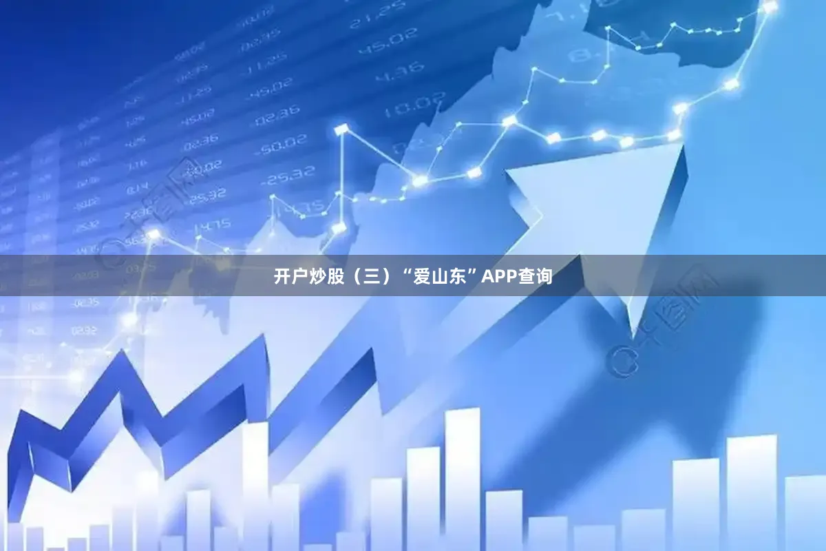 开户炒股（三）“爱山东”APP查询