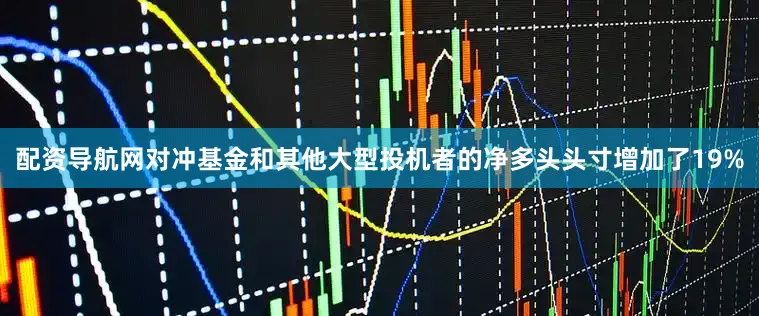 配资导航网对冲基金和其他大型投机者的净多头头寸增加了19%