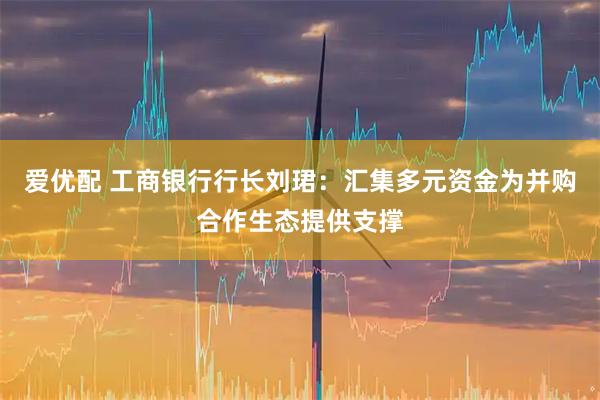 爱优配 工商银行行长刘珺：汇集多元资金为并购合作生态提供支撑