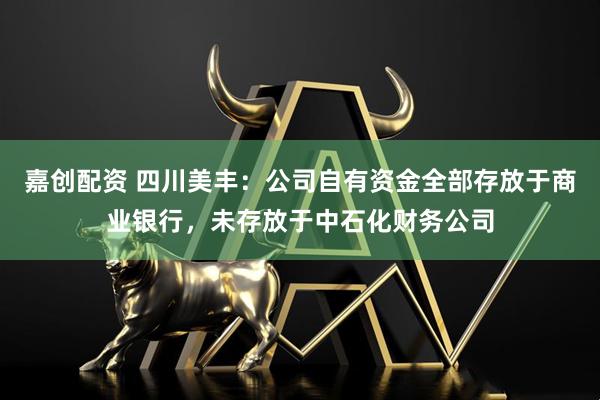 嘉创配资 四川美丰：公司自有资金全部存放于商业银行，未存放于中石化财务公司
