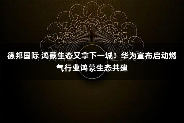 德邦国际 鸿蒙生态又拿下一城！华为宣布启动燃气行业鸿蒙生态共建