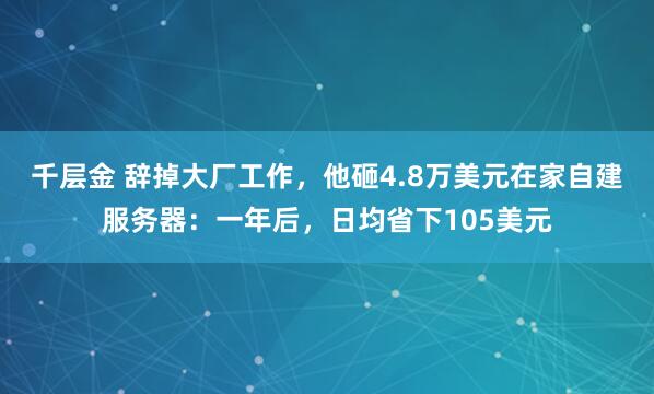 千层金 辞掉大厂工作，他砸4.8万美元在家自建服务器：一年后，日均省下105美元